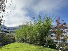 Lacul Straulesti apartament 3 camere 83 mp util / sector 1