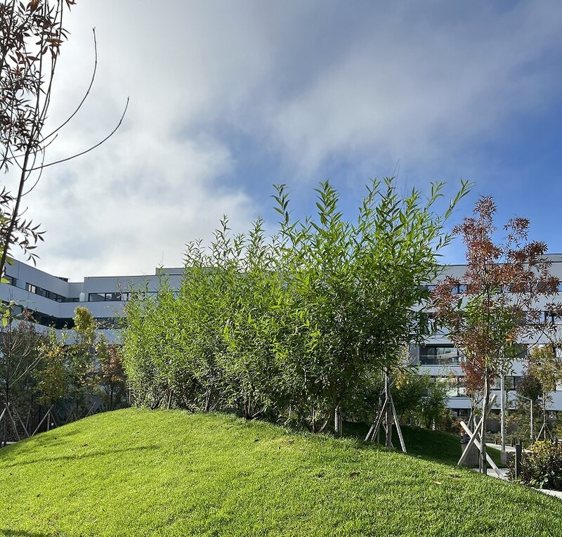 Lacul Straulesti apartament 3 camere 83 mp util / sector 1